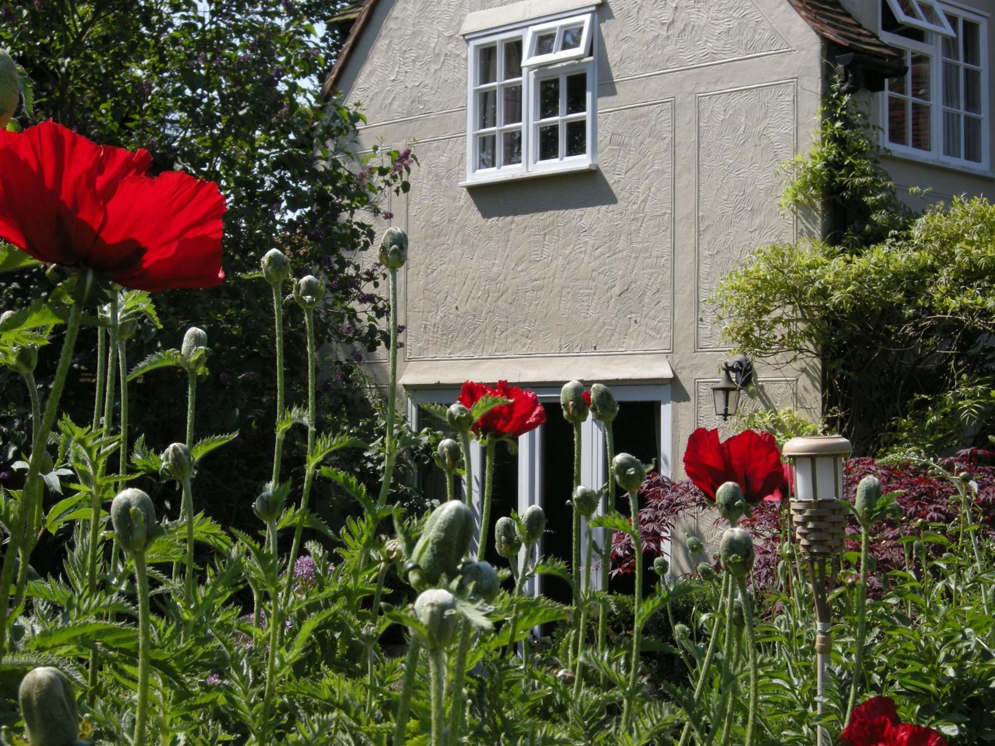 Motts Bed & Breakfast Great Dunmow Eksteriør bilde