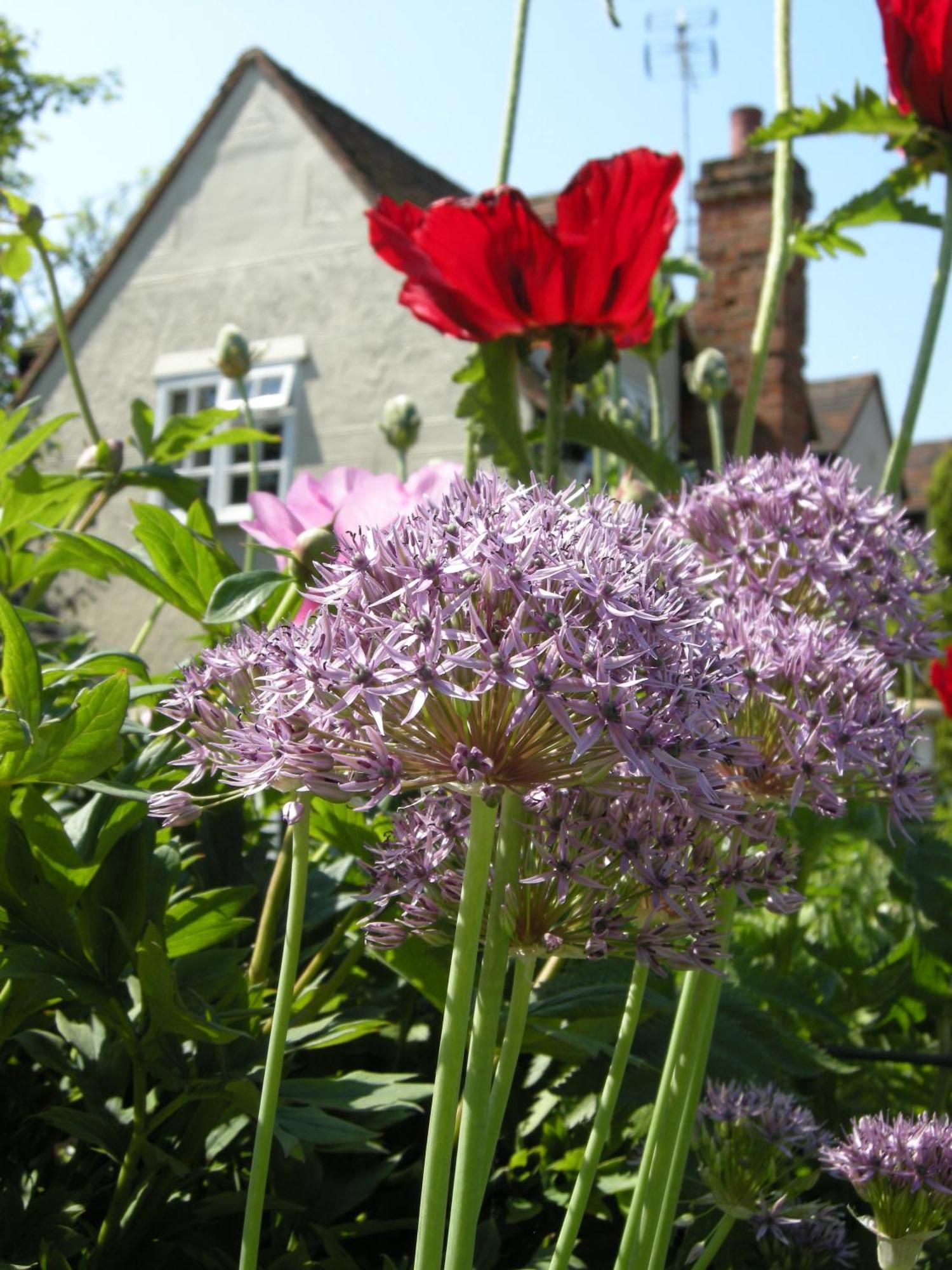 Motts Bed & Breakfast Great Dunmow Eksteriør bilde